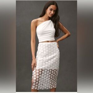 NWT Anthropologie 3D Texture Sheer Slip Midi Skirt - L